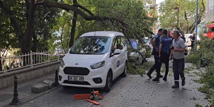 Kadıköy’de devrilen ağaç iki araca zarar verdi
