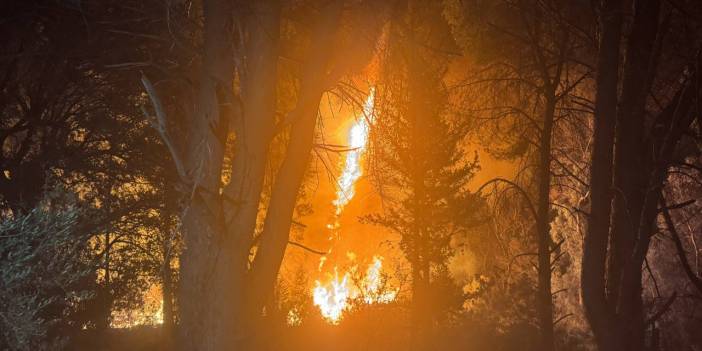 Antalya'da orman yangını