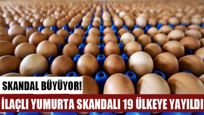 İlaçlı yumurta skandalı gittikçe büyüyor!