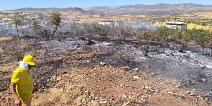 Diyarbakır'da 3 ayrı noktada örtü yangını
