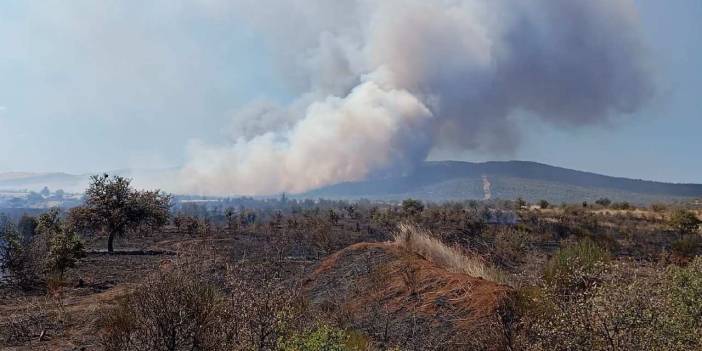 Orman yangınlarında son durum: Bakan açıkladı!