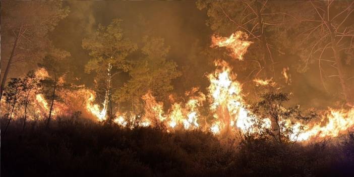 Alanya cayır cayır yanıyor
