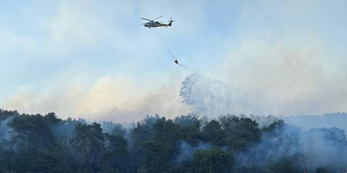 Balıkesir Sındırgı'da yangın! Bağ evleri...