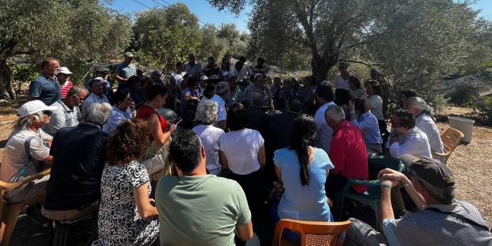 Zeytin yasası zeytini koruyamadı! 37 köyün kalbine kazma vuruldu