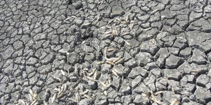 Gaziantep'te su krizi kapıda!