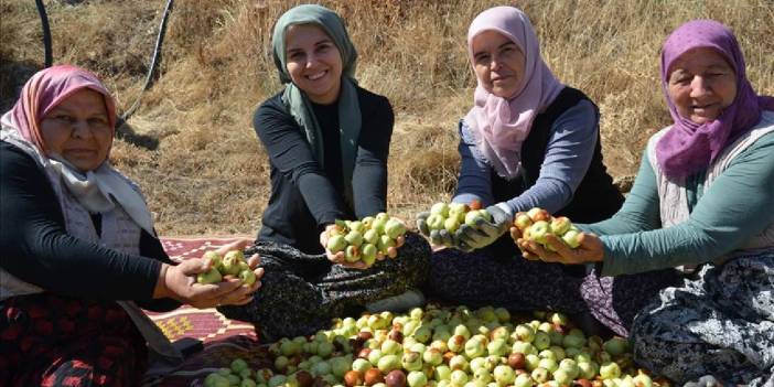 Manisa'da hasadı başladı: Kasalara konuluyor, Türkiye'nin farklı şehirlerine gönderiliyor!
