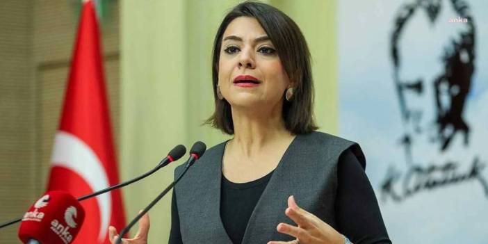 CHP'li Gamze Taşçıer Ankara Büyükşehir'deki büyük 'bilirkişi' tesadüfünü açıkladı