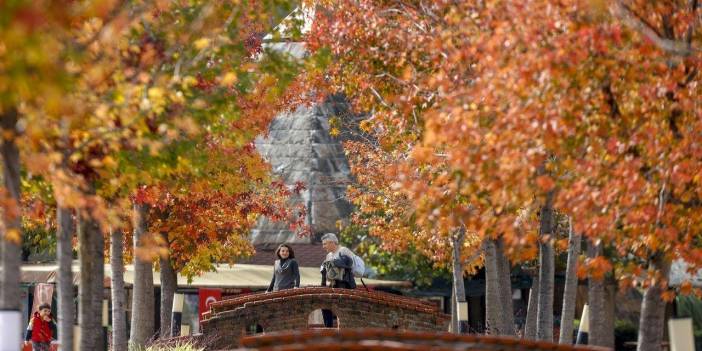 Sıcak havalar zorluyor: Yeni rapor yayımlandı