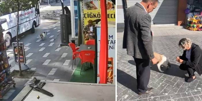 Ayağını ezdikleri köpeği bulup mama verdi