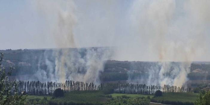 UNESCO Kültür Mirası listesindeydi! Hevsel Bahçeleri’nde yangın paniği