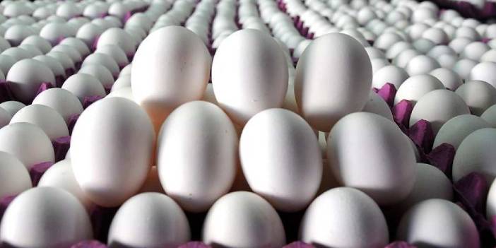 TÜİK açıkladı: Yumurta azaldı