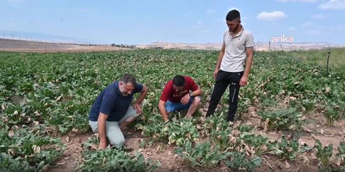 Fiyatı açıklanınca hevesleri kursağında kaldı