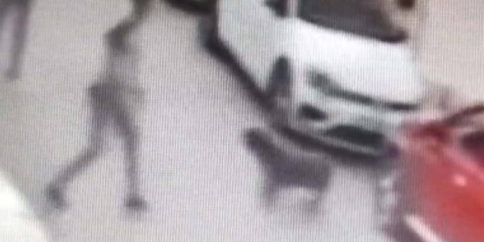 Sokak köpeğini kemerle dövdü! Gözaltına alındı