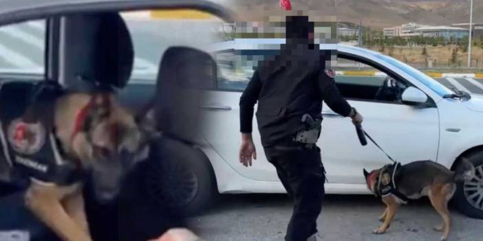 Zehir tacirlerinin oyununu polis bozdu! Bakın nereye gizlemişler