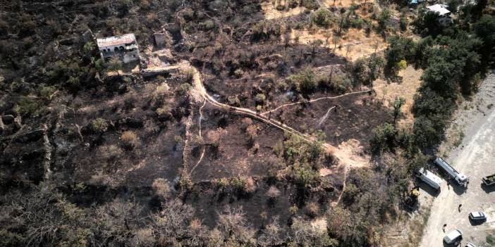 Bir anlık keyif felakete yol açtı: Ali Dağı'nda yangın paniği