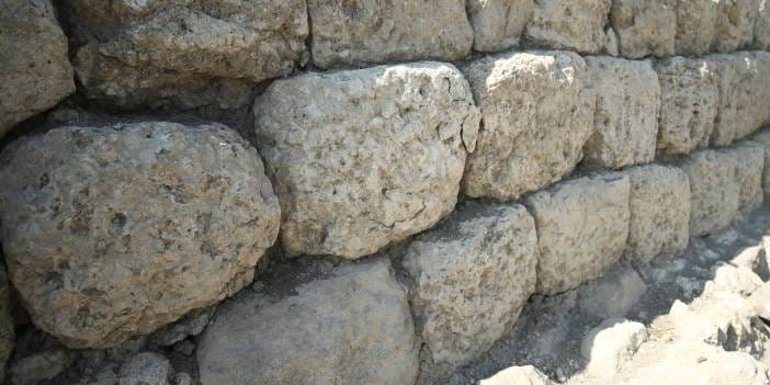 Lidyalıların dev suru ortaya çıktı