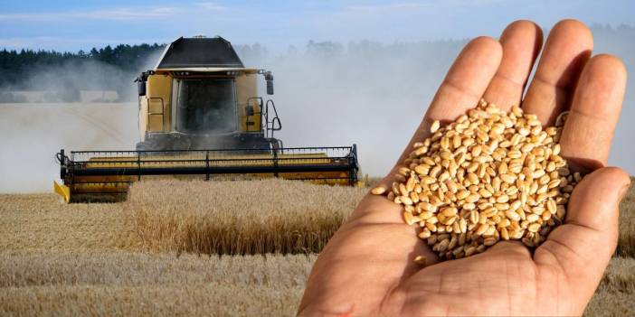 TİGEM 4,1 milyon kilo buğday satacak