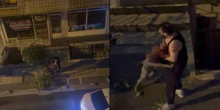 İstanbul'da pitbull sahibine saldırdı