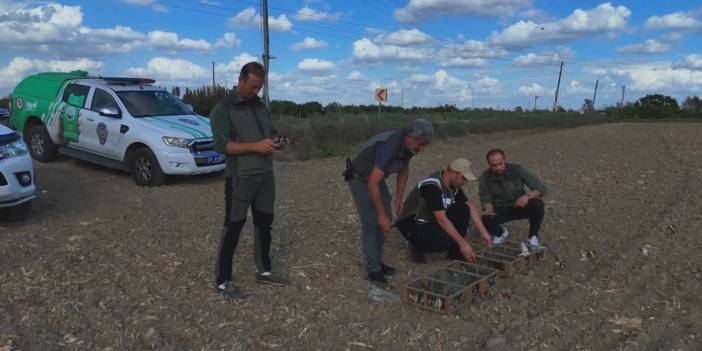 Kuş kaçakçısına suçüstü: Yüzlerce kuş kurtarıldı
