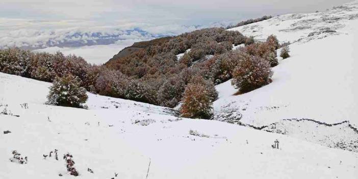 Amasya'nın yüksek kesimlerinde kar yağışı etkili oldu