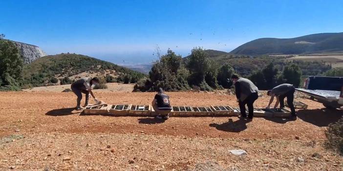 Kuş kaçakçısı hayatının şokunu yaşadı: Tarihi ceza