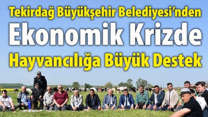 Tekirdağ Belediyesi'nden ekonomik krizde hayvancılığa büyük destek