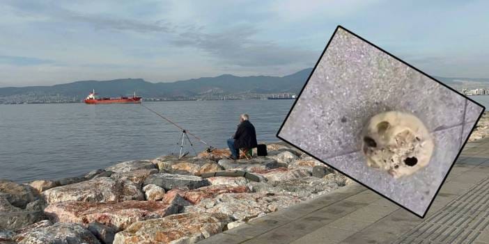 Balık tutarken dehşeti yaşadı: Oltaya kafatası takıldı