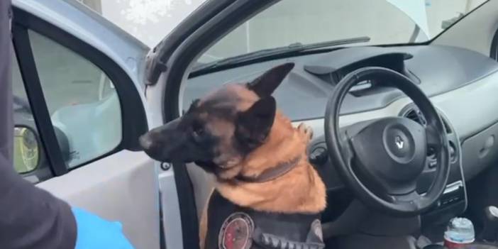 Otomobile gizlenmiş 45 kilo eroin köpek yardımıyla bulundu