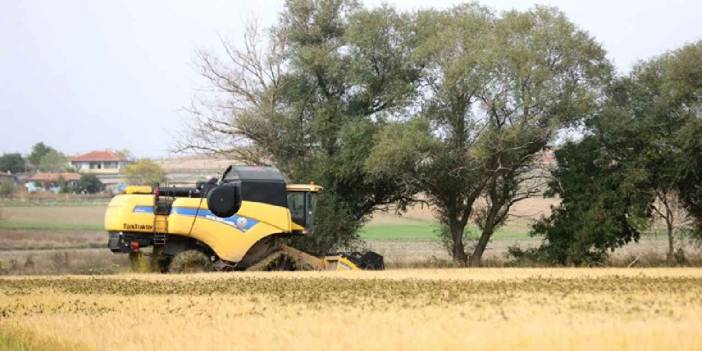 Trakya'da hasat tamamlandı: Nisan yağışları verimi arttırdı!
