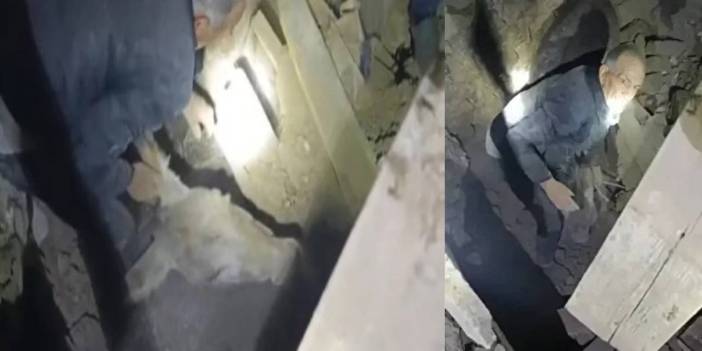 Kadife eşek depremde yıkılan ahırdan kurtarılmıştı! Sahibi: Dünyalar benim oldu