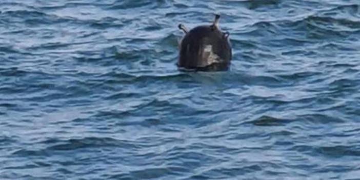 Karadeniz'deki mayınlar için karar verildi! Türkiye harekete geçecek