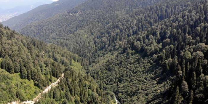 Çığ ve erozyonu önleyen 'Muhafaza ormanları' madenciliğe açılacak iddiası!