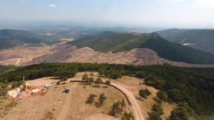 Kaz Dağları'nı yağmalayan şirketten yalan dolu rapor