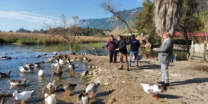 Muğla'da kuş gribi alarmı!