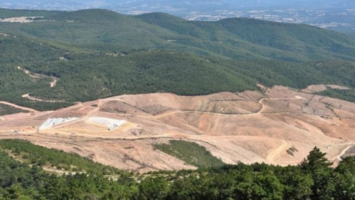 Kaz Dağları'ndaki ağaç katliamında "imza şaibesi"