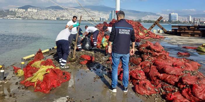 İzmir'de onlarca ton kaçak midye yakalandı