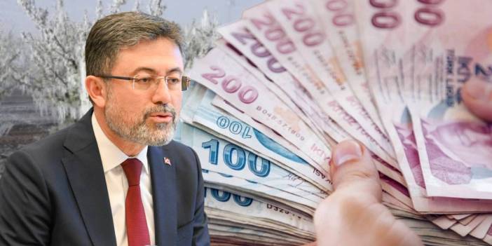 Zirai dondan etkilenmişlerdi: Sisteme kayıtlı çiftçilere yeni ödeme