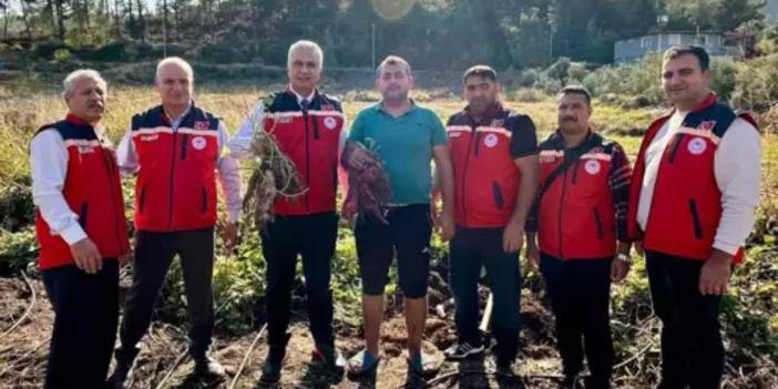 Türkiye’nin ihtiyacının yüzde 53’ünü karşılıyor: Hatay’da yetişiyor