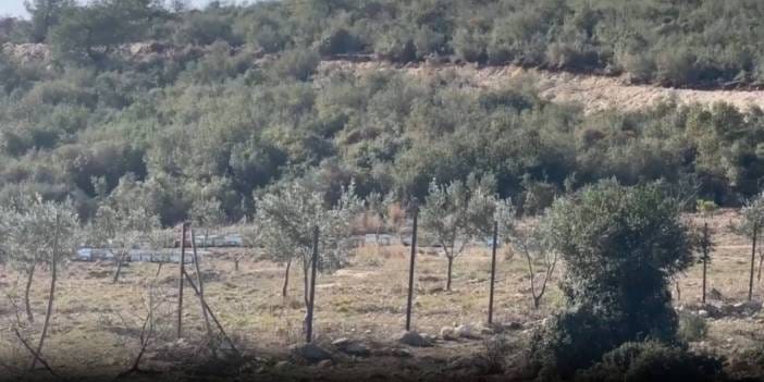 Osmaniye'de köylüler taş ocağına karşı direniyor