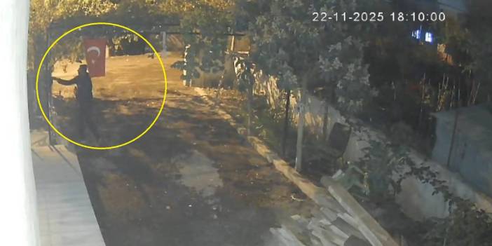 Osmaniye'de mavi yumurtlayan tavuk çalındı: Hırsızlık anı kamerada