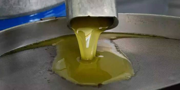 Toprak ıslandı hasat başladı: Birçok hastalığa iyi geliyor