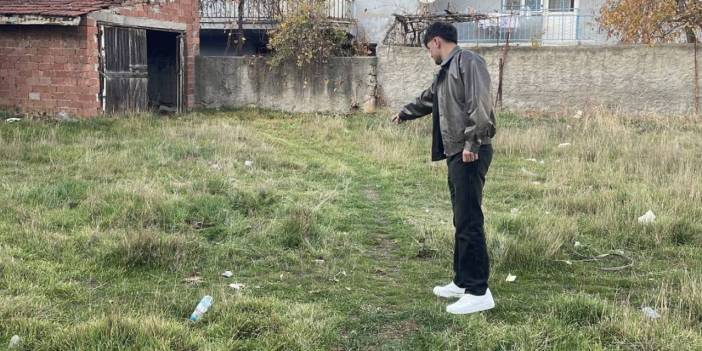 Eskişehir'de korkunç manzara! Boş arazide toplu halde ölü kediler bulundu