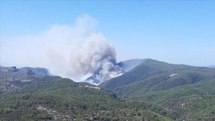 Muğla'da orman yangını