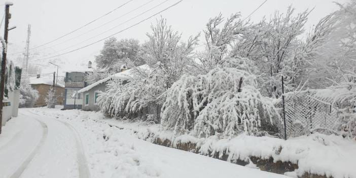 Van'da 11 yerleşim yerine kar engeli