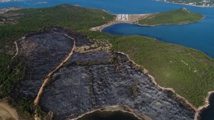 Ayvalık'ta yanan ormanın havadan görüntüsü her şeyi anlatıyor!