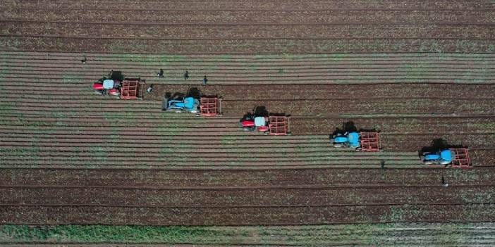 Çiftçilere verilecek destek kalem kalem açıklandı