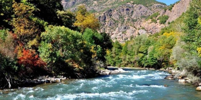 Tunceli'de av yasağı devam ediyor: 28 kişiye para cezası