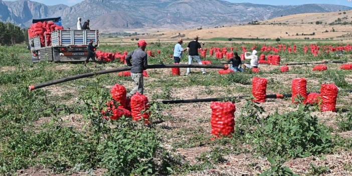 MHP'den çiftçi isyanı: Girdi fiyatları yüzde 50 artarken satış fiyatı yarıya düştü