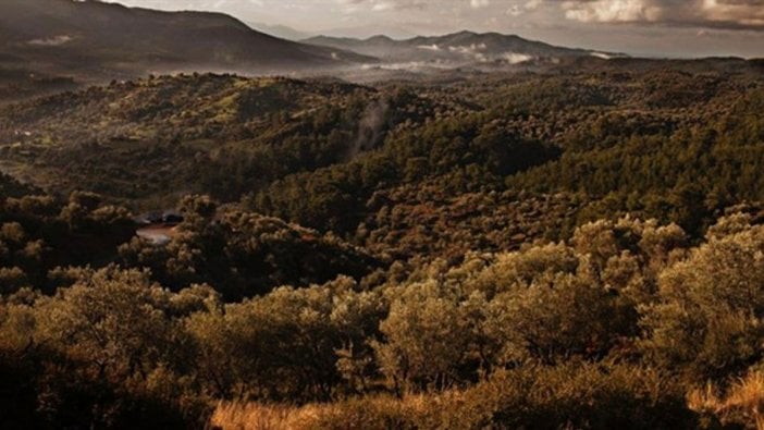 Tunç Soyer'den açıklama: İzmir küllerinden doğacak