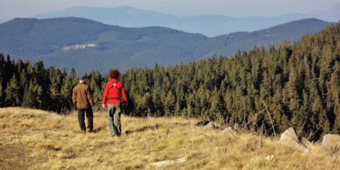 Tüm dünya Bolu'da görmeye gidiyor: Karası kızılı sakallısı bir arada